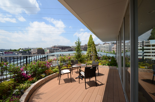 SEIKEN&nbsp;GREEN&nbsp;GARDEN